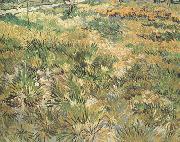 Vincent Van Gogh Meadow in the Garden of Saint-Paul Hospital (nn04) Germany oil painting reproduction